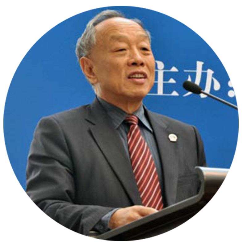 李肇星 外交部原部长